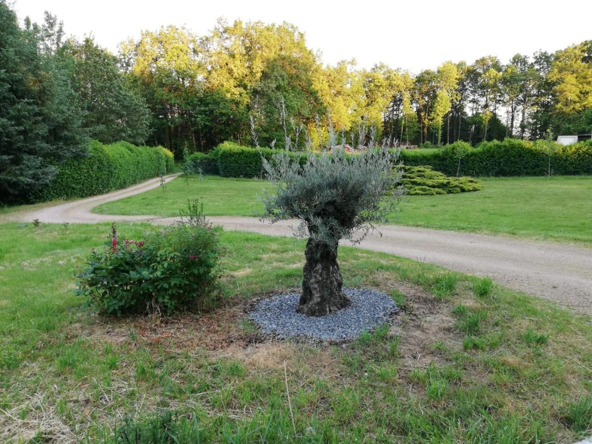 Le Gite Du Parc La Coquille Esterno foto